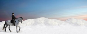 HEVONEN_promo_syva_panorama