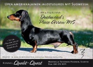 Qualit-Quast_ilmoitus